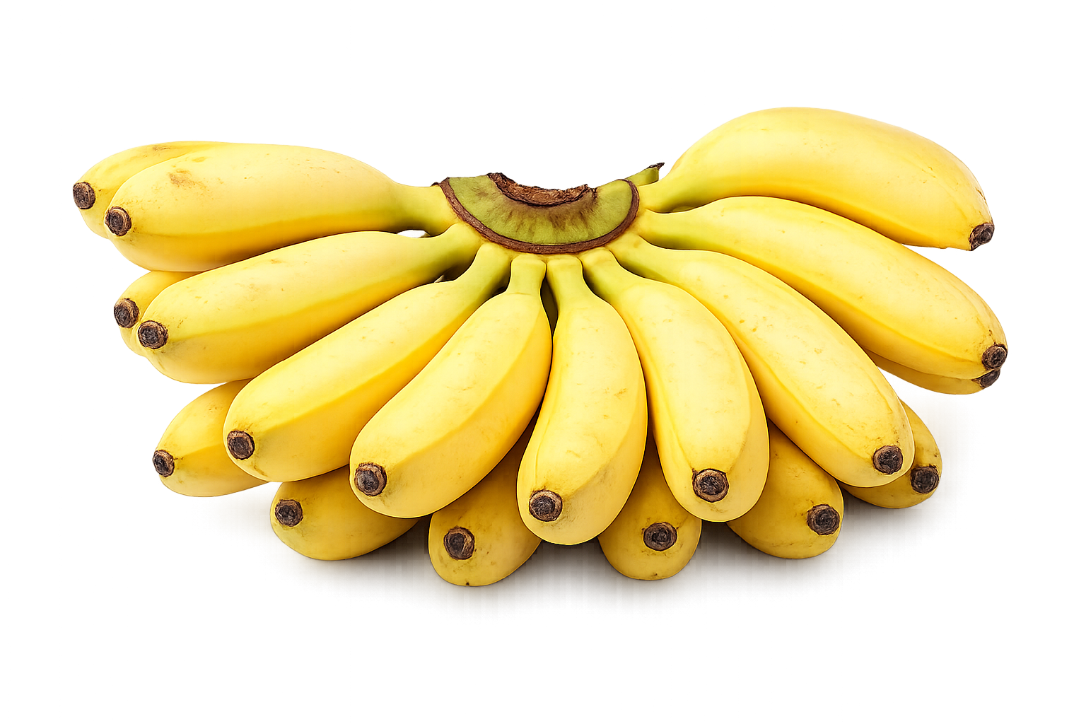 chatgpt image feb 10, 2026, 02 44 52 pm