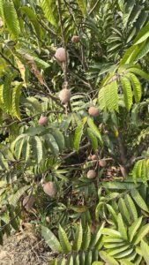 Home whatsapp image 2026 02 16 at 12.47.17 pm