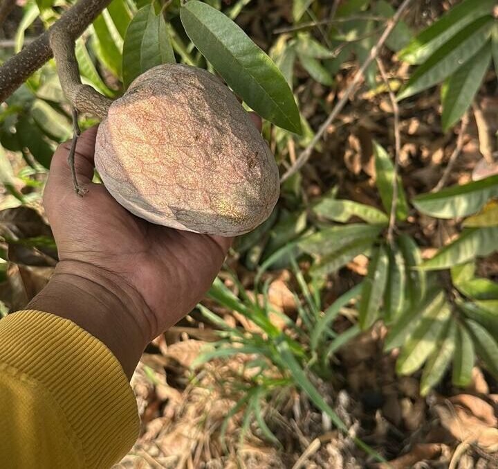 whatsapp image 2026 02 16 at 12.47.18 pm