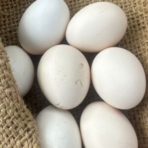 fresh gavthi murgi eggs (desi country chicken eggs) – 12 pieces