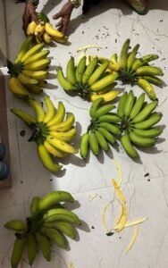 Home farm fresh banana – naturally grown