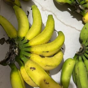 farm fresh banana – naturally grown