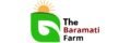 cropped baramati logo.jpg